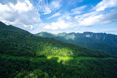 Zhangjiajie 'deki kaya sütunlarını ve dağları sis kaplıyor, vadide güneş ışığı var.