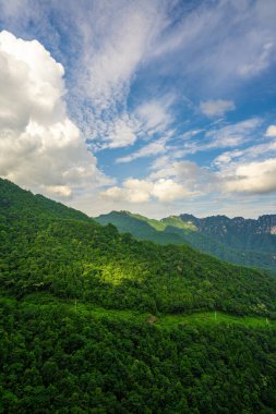 Zhangjiajie 'deki kaya sütunlarını ve dağları sis kaplıyor, vadide güneş ışığı var.