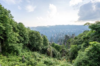 Zhangjiajie 'deki kaya sütunlarını ve dağları sis kaplıyor, vadide güneş ışığı var.
