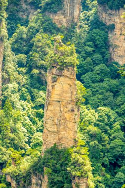 Çin 'in Hunan kentindeki Zhangjiajie manzarasında eşsiz dağ zirveleri ve yemyeşil ormanlar yer alıyor.