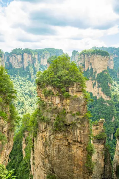 Çin 'in Hunan kentindeki Zhangjiajie manzarasında eşsiz dağ zirveleri ve yemyeşil ormanlar yer alıyor.
