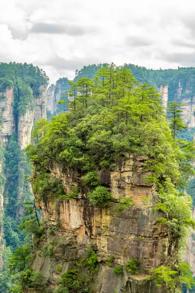 Çin 'in Hunan kentindeki Zhangjiajie manzarasında eşsiz dağ zirveleri ve yemyeşil ormanlar yer alıyor.