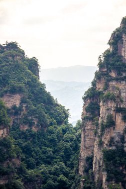 Çin 'in Hunan kentindeki Zhangjiajie manzarasında eşsiz dağ zirveleri ve yemyeşil ormanlar yer alıyor.