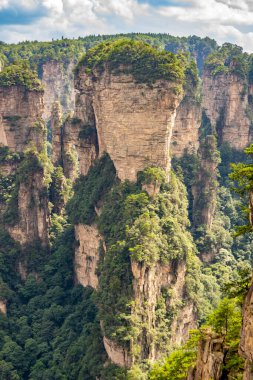 Çin 'in Hunan kentindeki Zhangjiajie manzarasında eşsiz dağ zirveleri ve yemyeşil ormanlar yer alıyor.