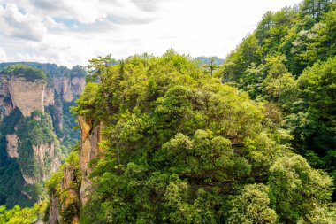 Çin 'in Hunan kentindeki Zhangjiajie manzarasında eşsiz dağ zirveleri ve yemyeşil ormanlar yer alıyor.