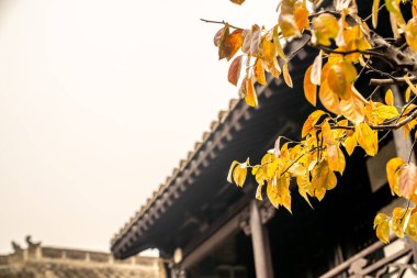 Eski bir Çinli yetkilinin evi.