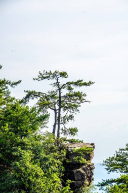 Hunan Eyaleti, Çin 'deki Zhangjiajie Sahne Bölgesi