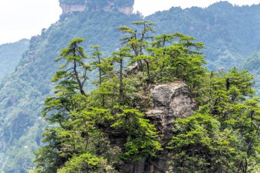 Zhangjiajie Sahne Bölgesi, Hunan Eyaleti, Çin