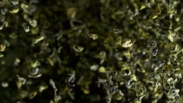 Super Slow Motion Shot Suszonej Zielonej Herbaty Eksplozji Izolowane Czarnym — Wideo stockowe
