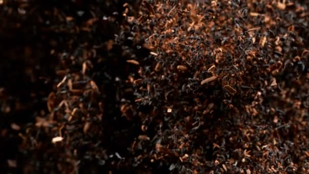 Super Slow Motion Shot Falling Suszona Herbata Izolowana Czarnym Tle — Wideo stockowe