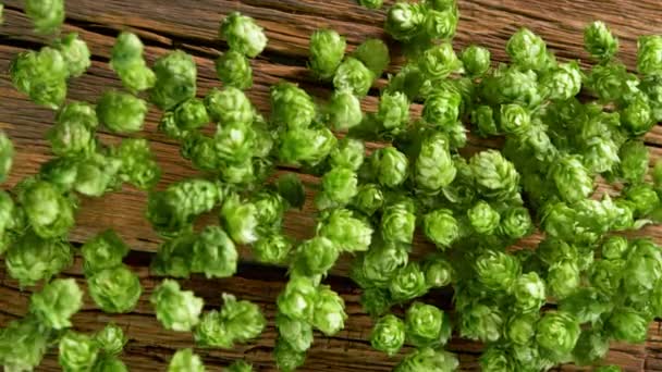 Super Slow Motion Shot Fresh Green Hops Caindo Mesa Madeira — Vídeo de Stock