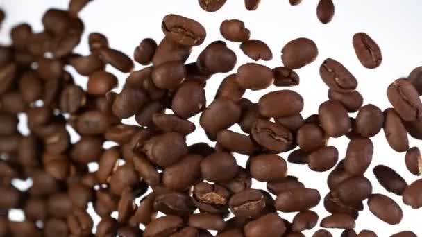 Super Rallentatore Girato Chicchi Caffè Premium Cadere Vetro Verso Fotocamera — Video Stock