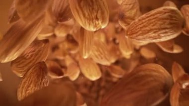 Süper Yavaş Hareket Detaylı Badem Çekimi. 1000 fps hızla kameraya doğru uçuyor. 4K Çözünürlükte Yüksek Hız Sinema Kamerası ile Çekim.