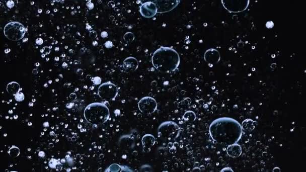 Super Slow Motion Macro Постріл Підняття Різних Гелевих Бульбашок Чорному — стокове відео