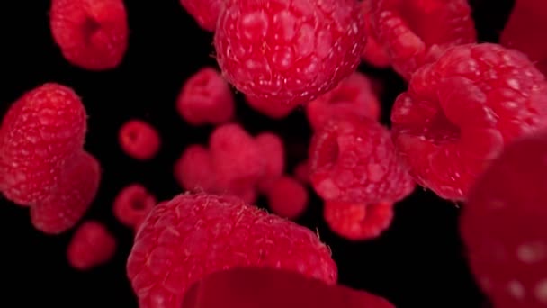Super Slow Motion Detail Shot Flying Rotating Fresh Raspberries Inglês — Vídeo de Stock