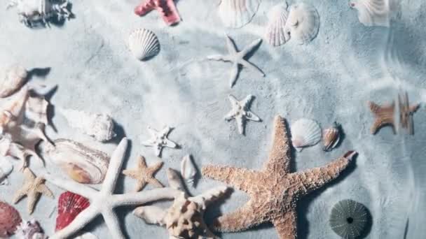 Super Slow Motion Shot Sea Water Surface Waving Starfish Shells — Stock videók