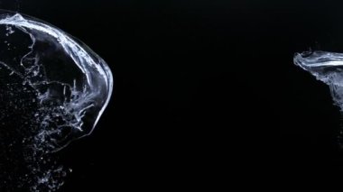 Süper Yavaş Hareketli Su Çekimi Kara Arkaplan 'a çarpıyor. 4K Çözünürlükte Yüksek Hız Sinema Kamerası ile Çekim.