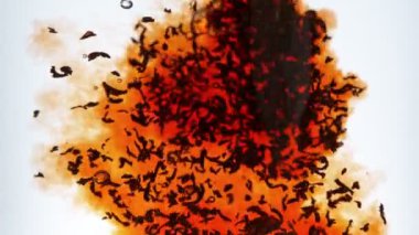 Sızdıran Siyah Çay 'ın Süper Yavaş Çekimi Beyaz Arkaplan' da izole edildi. 4K 'da Yüksek Hız Sinema Kamerası ile çekildi..