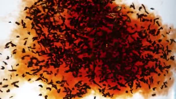 Sızdıran Siyah Çay Süper Yavaş Çekimi Beyaz Arkaplan Izole Edildi — Stok video