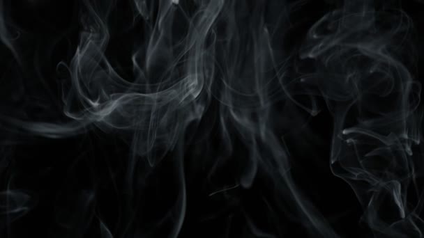 Super Slow Motion Shot Rising Smoke Background Isolated Black 1000Fps — Stock Video