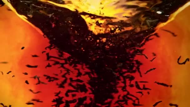 Супер Повільний Постріл Вилуговування Чорного Чаю Водяному Крилі Помаранчевому Тлі — стокове відео