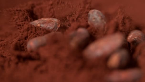 Jatuh Biji Kakao Menjadi Kakao Dalam Gerakan Super Lambat Shooted — Stok Video