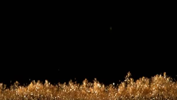 Zlatý Třpyt Pozadí Super Pomalém Pohybu Snímek Vysokorychlostní Kamerou Při — Stock video
