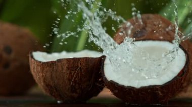 Hindistancevizine su sıçrayan süper yavaş çekim, 1000fps. 4K 'de Yüksek Hız Sinema Kamerası ile çekildi..