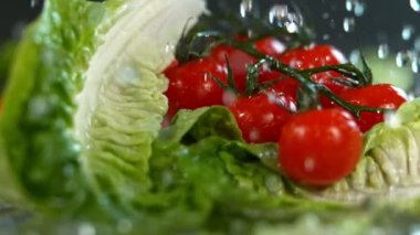 Su taze domateslere ve marullara dökülüyor. Süper yavaş hareket halinde. Yüksek hızlı sinema kamerasıyla 4K, 1000fps..