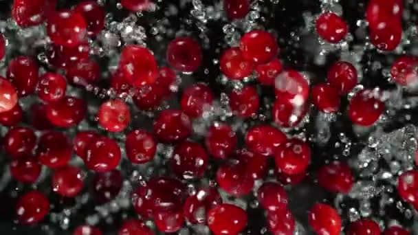 Tiros Movimento Super Lento Cranberries Explosão Água Para Câmera 1000Fps — Vídeo de Stock