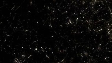 Süper Yavaş Çekim Altın Işıldayan Konfeti Arkaplanı 1000fps. 4K Çözünürlükte Yüksek Hız Sinema Kamerası ile Çekim.
