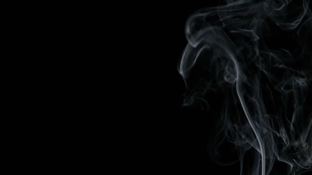 超慢速运动的上升烟雾背景孤立在黑色在1000Fps 用4K高速摄像机拍摄 — 图库视频影像