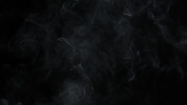 超慢速运动的上升烟雾背景孤立在黑色在1000Fps 用4K高速摄像机拍摄 — 图库视频影像