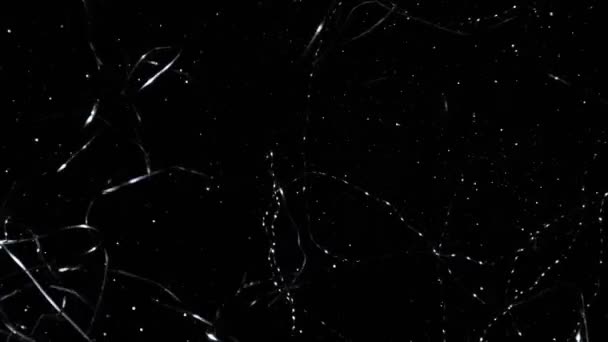 Super Slow Motion Shot Silver Filling Confetti Foundation 1000Fps Съемки — стоковое видео