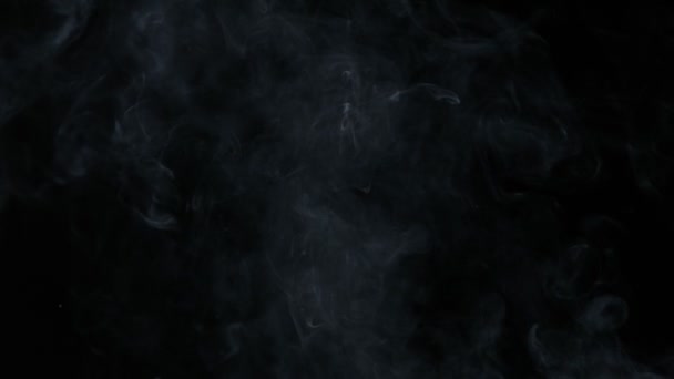 Super Slow Motion Shot Rising Smoke Arrière Plan Isolé Sur — Video