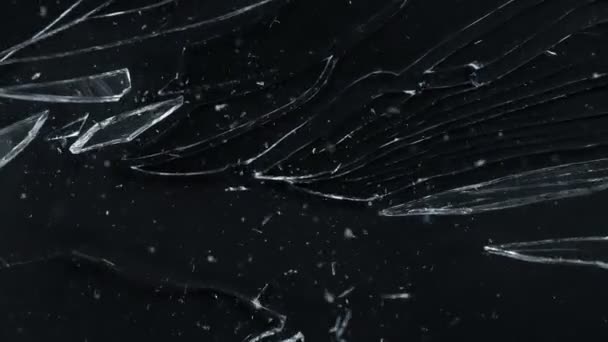 Super Slow Motion Shot Real Glass Break 1000 Fps Aislado — Vídeo de stock