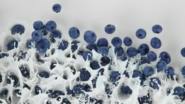 Σούπερ Αργή Κίνηση Shot Των Νωπών Blueberries Που Υπάγονται Κρέμα — Αρχείο Βίντεο