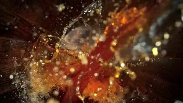 Super Slow Motion Shot Pouring Golden Alcohol Liquid Δρύινο Ξύλινο — Αρχείο Βίντεο