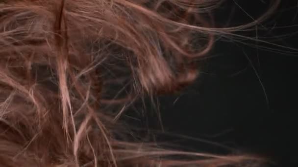 Super Slow Motion Shot Waving Cheveux Bruns Désordonnés 1000 Ips — Video