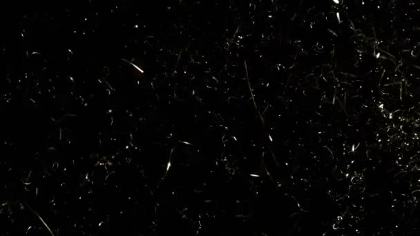 Super Slow Motion Shot Golden Glittering Confetti Background 1000Fps Filmed — Stock Video