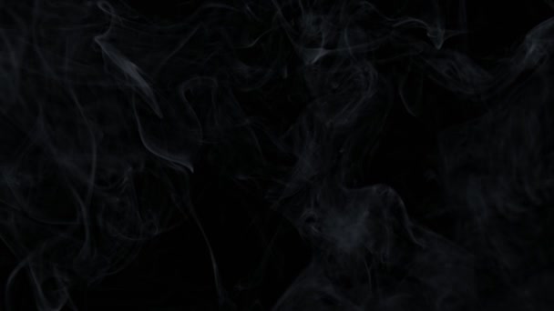 Super Slow Motion Shot Rising Smoke Háttér Izolált Fekete 1000Fps — Stock videók