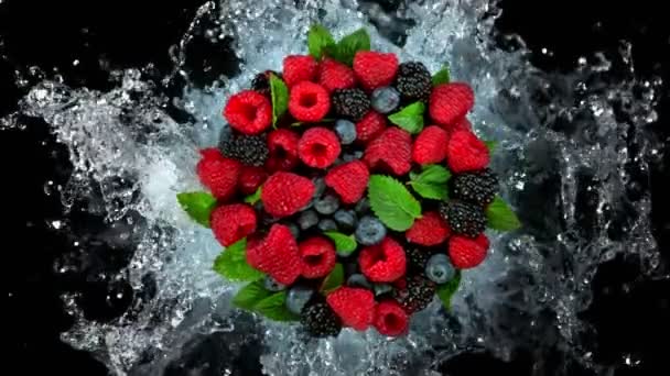 Super Slow Motion Shot Fresh Berries Water Splash Izolowane Czarno — Wideo stockowe