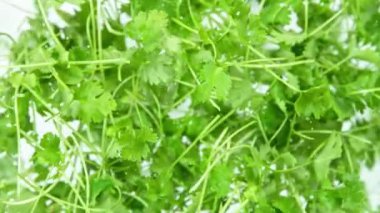 Uçan Taze Kişniş 'in Süper Yavaş Çekimi 1000 fps hızla Kameraya doğru. 4K Çözünürlükte Yüksek Hız Sinema Kamerası ile Çekildi.