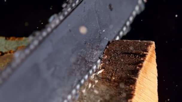 Szczegóły Super Slow Motion Shot Cutting Wood Piłą Łańcuchową Prędkością — Wideo stockowe