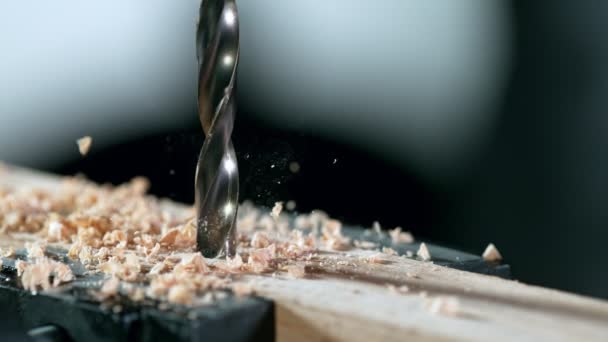 Super Slow Motion Detail Shot Drilling Wood 1000 Fps Natočeno — Stock video
