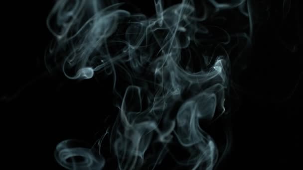 Super Slow Motion Shot Abstrakcyjny Dym Izolowany Czarnym Tle Prędkością — Wideo stockowe