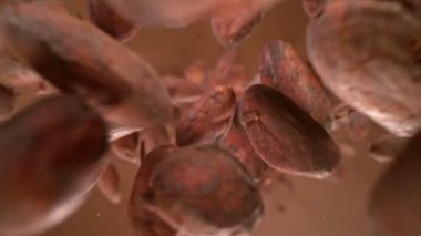 Süper Yavaş Hareket Detaylı Çekim Çiğ Çikolata Fasulyesinin Kahverengi Arkaplan 'a düşüşü. 4K Çözünürlükte Yüksek Hız Sinema Kamerası ile Çekim.