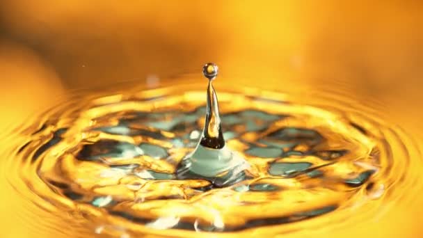 Super Slow Motion Detalle Shot Water Drop Sobre Fondo Lujo — Vídeo de stock