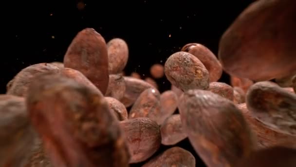 Super Slow Motion Detail Shot Van Raw Chocolate Beans Falling — Stockvideo