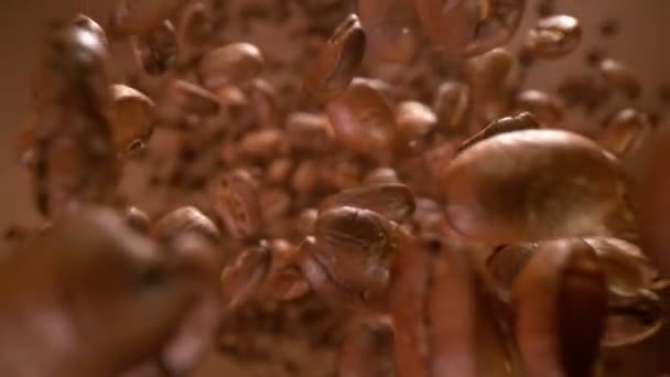 Super Slow Motion Detail Shot Coffee Beans Falling Brown Gradient — Αρχείο Βίντεο